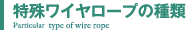 特殊ワイヤロープの種類