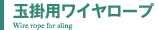 玉掛用ワイヤロープ